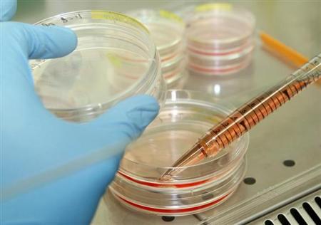 Scientists create human stem cells through cloning Scientists create human stem cells through cloning