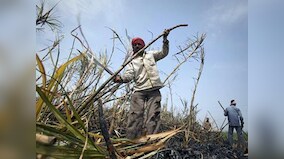 GDP estimates: Why it's now looking worse than astrology