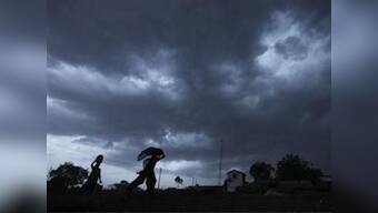 Agri stocks rebound up to 48% as good rains revive hopes of better demand