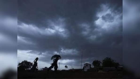 Agri stocks rebound up to 48% as good rains revive hopes of better demand