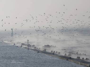 Representative image. Reuters. 