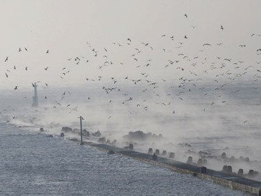 8.2 magnitude undersea earthquake off Russia 8.2 magnitude undersea earthquake off Russia