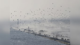 8.2 magnitude undersea earthquake off Russia