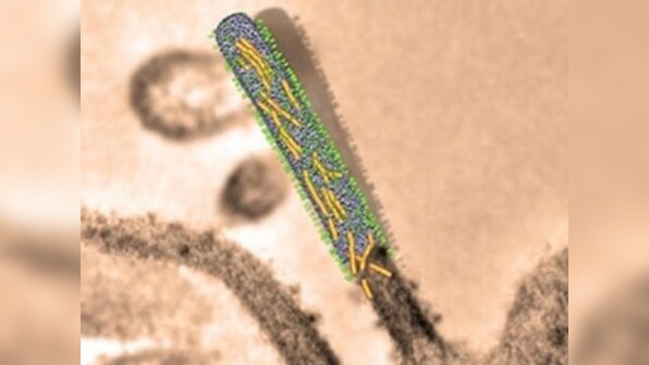 Coming Soon: A vaccine for Respiratory Infection