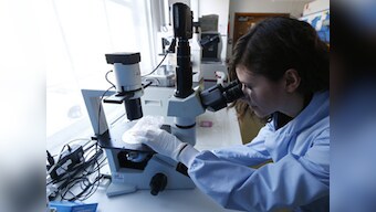 Immune cell discovery might stop cancer spread: Study