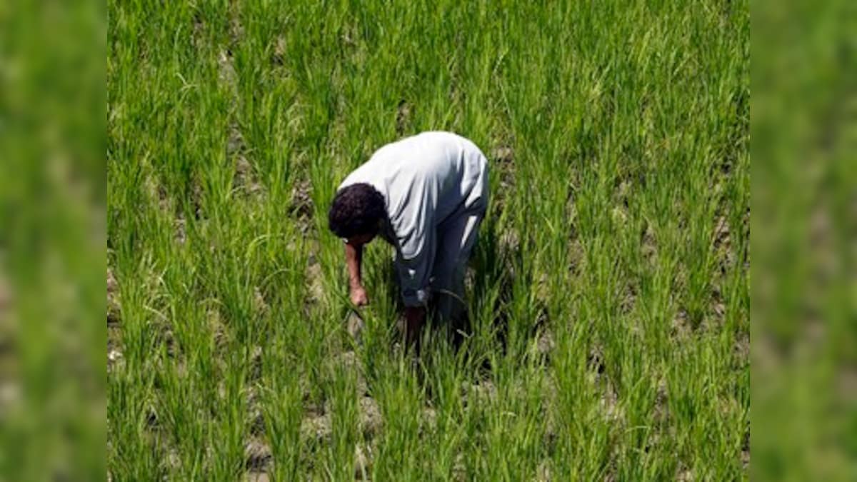 Rajasthan begins implementing farm loan waiver; cultivators to get relief for sums borrowed from cooperative, development banks