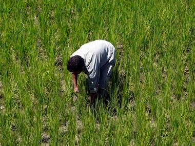 Rajasthan begins implementing farm loan waiver; cultivators to get relief for sums borrowed from cooperative, development banks