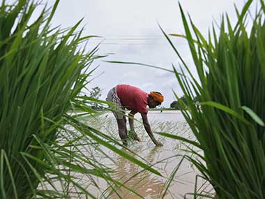 Two faces of subsidy: Bad for the poor but must for the rich Two faces of subsidy: Bad for the poor but must for the rich