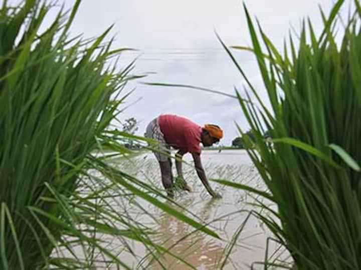 Two faces of subsidy: Bad for the poor but must for the rich