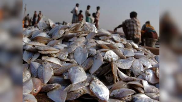 Eating chicken or fish as a teen may stave off colon cancer