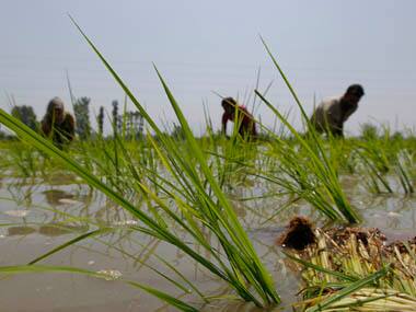 India employs satellite mapping for effective irrigation, boost crop yield