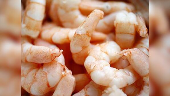 US sets preliminary anti-dumping duties on Indian shrimp 