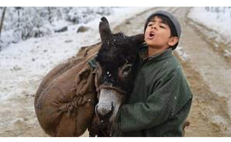 Tahaan is the story of a little boy's journey to get back his pet donkey Birbal who is taken away by money leader because his family could not pay a loan.