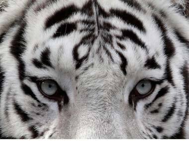 Representational image: Reuters