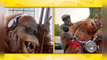 Images: YPD 2's orangutan and other Bollywood animal heroes 