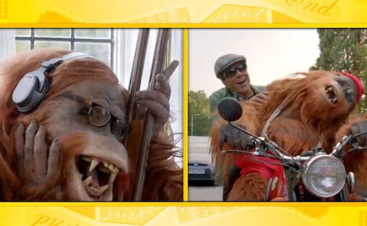 Images: YPD 2's orangutan and other Bollywood animal heroes 