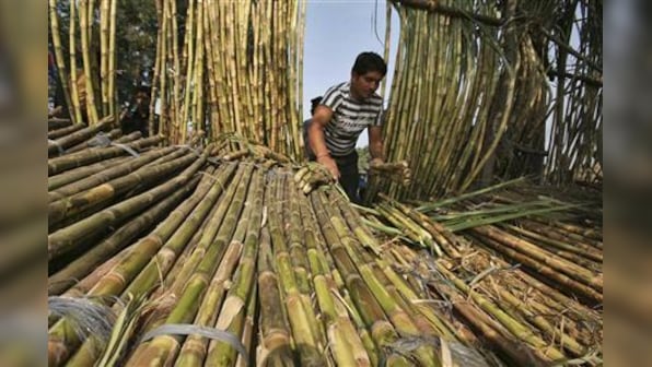 Political parties rush to cash in on UP sugar crisis