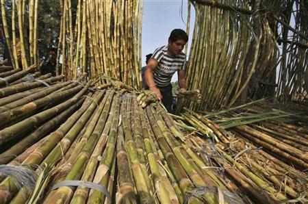 Sugar stocks surge on hopes of govt aid: All you need to know Sugar stocks surge on hopes of govt aid: All you need to know