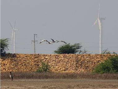 India's clean energy at the cost of biodiversity?