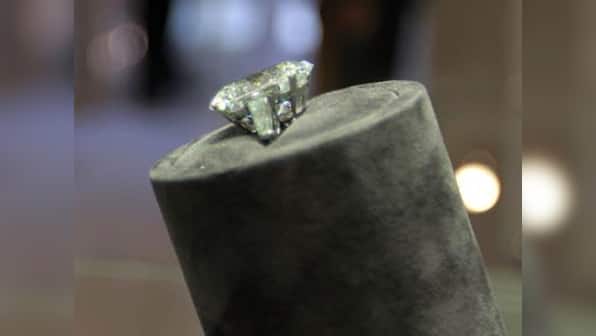 How tigers might stop MP from becoming a global diamond mining source