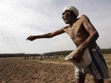 A farmer spraying fertilizer on his field. AFP