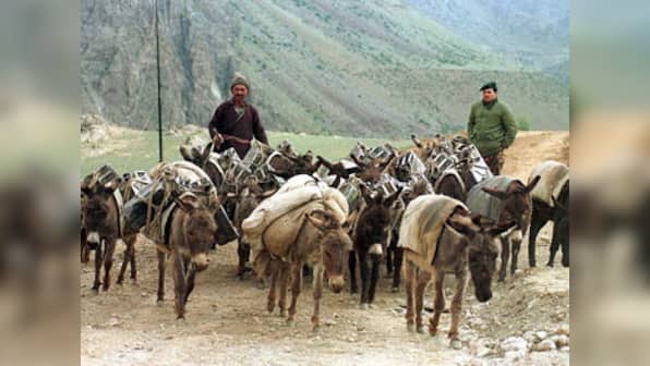 Uttarakhand floods: Group provides medical aid to animals 