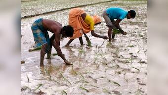 Monsoon covers entire India a month ahead of schedule