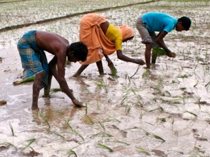 Monsoon covers entire India a month ahead of schedule