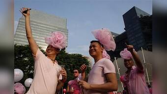 Singapore's &quot;Pink Dot&quot; rally shows growing pressure for gay rights