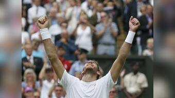 Del Potro fights off injury to crush Ferrer in Wimbledon quarters