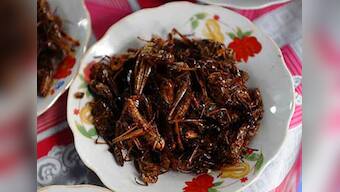 Why fine dining could soon mean sattu and insects 