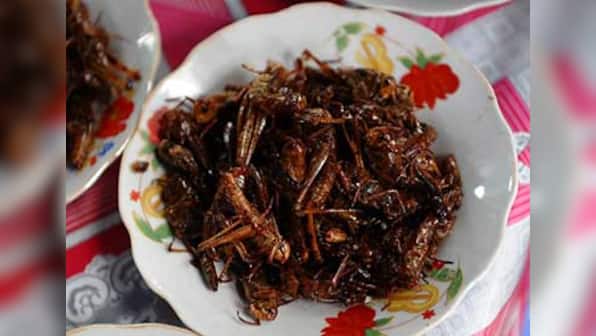 Why fine dining could soon mean sattu and insects 