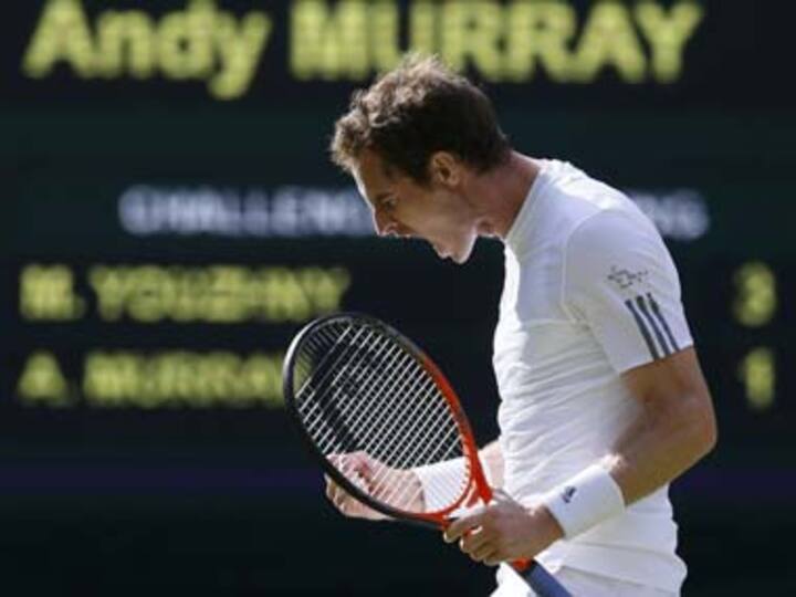 Wimbledon: Murray, Del Potro reach last eight