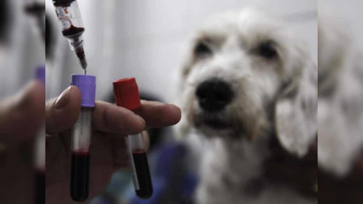 Animal testing is costly and inefficient; investment in more humane science may yield better