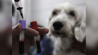 Hate animal cruelty? Then complain about 'natural sources' in your food and cosmetics, save thousands of lives