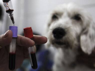 Animal testing is costly and inefficient; investment in more humane science may yield better solutions