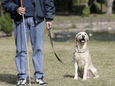 Airlines cannot refuse passage to any passenger with any level of disability. Not just the disabled, airlines cannot even refuse to carry escorts, trained dogs