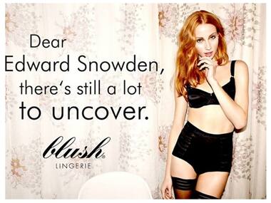 A screenshot from the lingerie company's website.