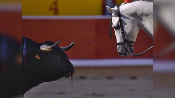 Two hurt, no one gored, in first Pamplona bull run