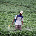 Germany's pharma co Bayer makes $62 bn offer to acquire Monsanto