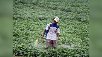 Common pesticide may increase risk of ADHD
