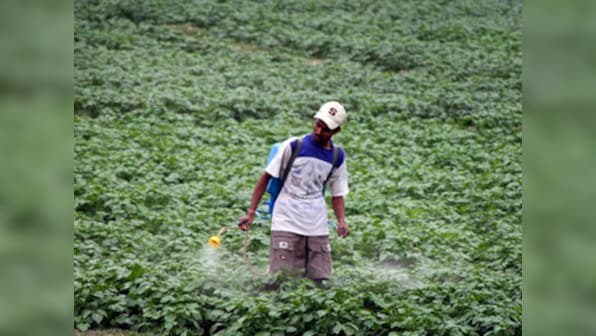 Common pesticide may increase risk of ADHD