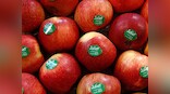 From apples to dark chocolate, five fibre-rich food items you should include in your diet to improve digestion