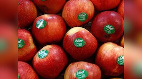 From apples to dark chocolate, five fibre-rich food items you should include in your diet to improve digestion
