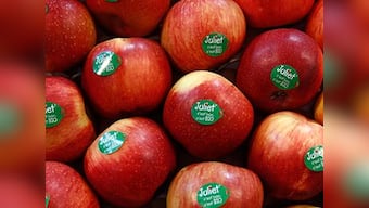 From apples to dark chocolate, five fibre-rich food items you should include in your diet to improve digestion