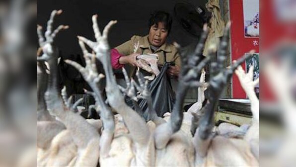 Nepal bans chicken sales after bird flu outbreak