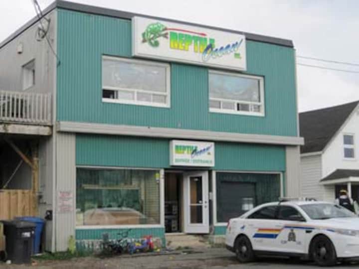 Two boys presumed killed by escaped python in Canada