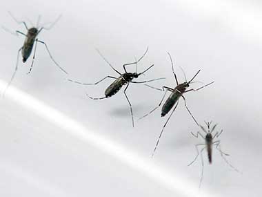 War on dengue gets new edge: Scientists develop antiviral to tackle all four types of disease War on dengue gets new edge: Scientists develop antiviral to tackle all four types of disease