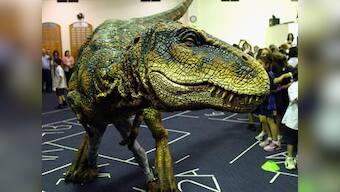 Researchers find rare dinosaur egg shells in Portugal