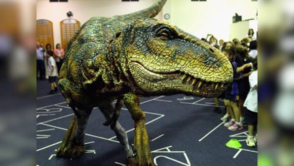 Researchers find rare dinosaur egg shells in Portugal